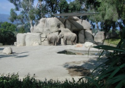 The-Elephant-Barn-Santa-Barbara-Zoo-2